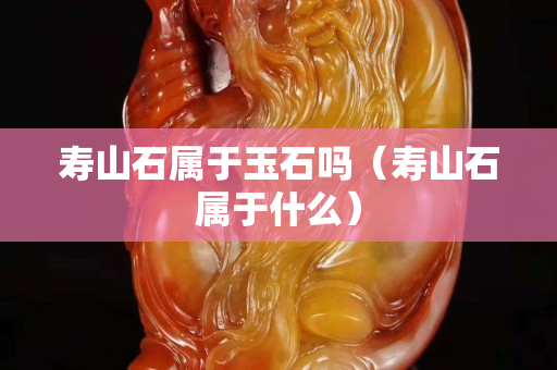 寿山石属于玉石吗（寿山石属于什么）