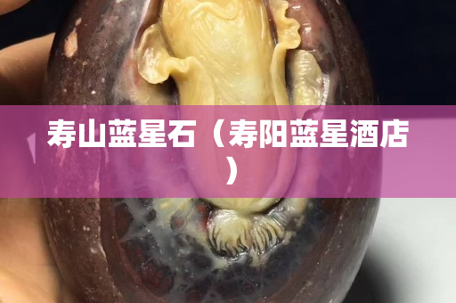 寿山蓝星石（寿阳蓝星酒店）