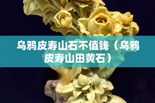 乌鸦皮寿山石不值钱（乌鸦皮寿山田黄石）