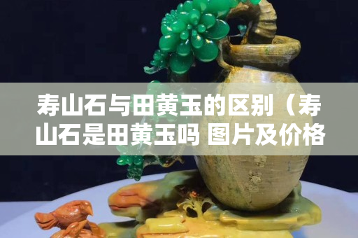 寿山石与田黄玉的区别（寿山石是田黄玉吗 图片及价格）