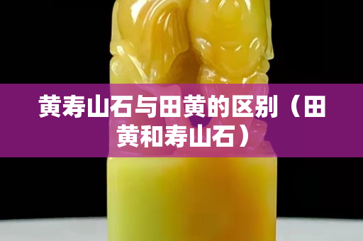 黄寿山石与田黄的区别（田黄和寿山石）