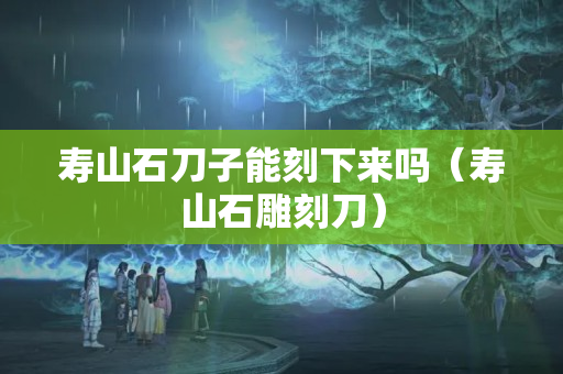 寿山石刀子能刻下来吗（寿山石雕刻刀）