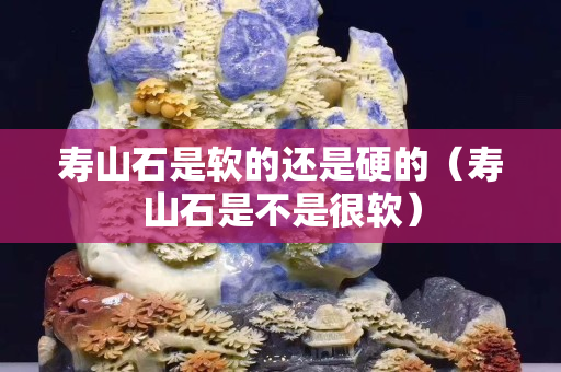 寿山石是软的还是硬的（寿山石是不是很软）