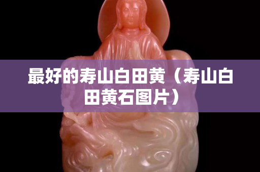 最好的寿山白田黄（寿山白田黄石图片）