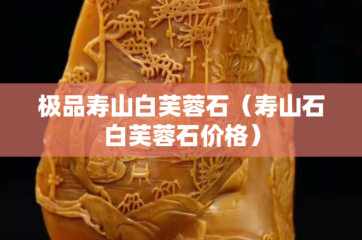 极品寿山白芙蓉石（寿山石白芙蓉石价格）