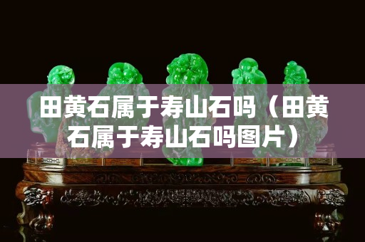 田黄石属于寿山石吗（田黄石属于寿山石吗图片）
