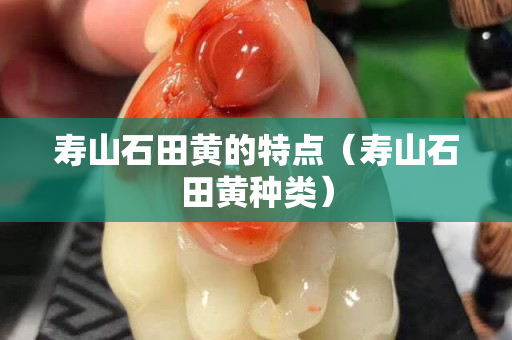寿山石田黄的特点（寿山石田黄种类）
