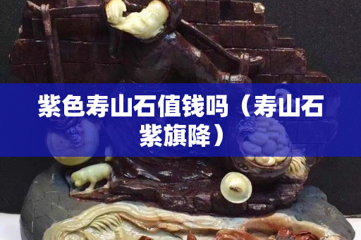 紫色寿山石值钱吗（寿山石紫旗降）