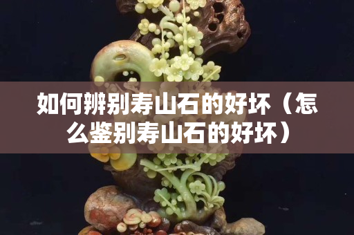 如何辨别寿山石的好坏（怎么鉴别寿山石的好坏）