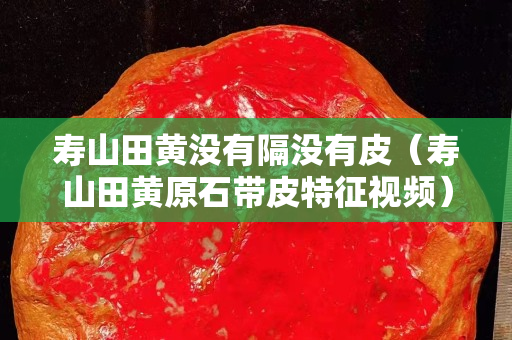 寿山田黄没有隔没有皮（寿山田黄原石带皮特征视频）