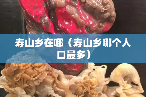 寿山乡在哪（寿山乡哪个人口最多）