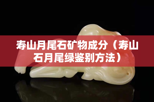 寿山月尾石矿物成分（寿山石月尾绿鉴别方法）