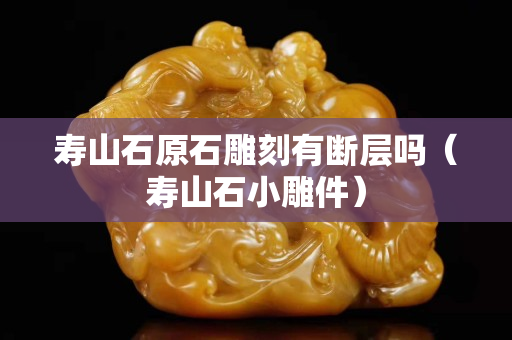 寿山石原石雕刻有断层吗（寿山石小雕件）