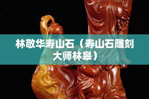 林敬华寿山石（寿山石雕刻大师林皋）