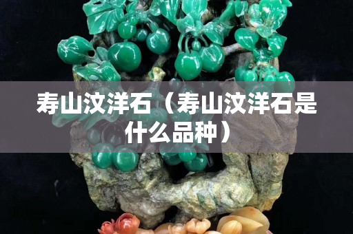 寿山汶洋石（寿山汶洋石是什么品种）