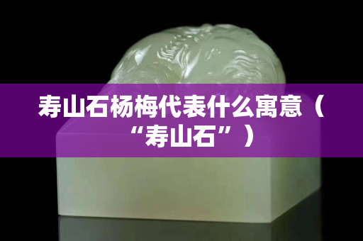 寿山石杨梅代表什么寓意（“寿山石”）