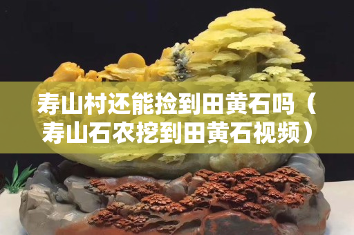 寿山村还能捡到田黄石吗（寿山石农挖到田黄石视频）