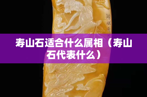 寿山石适合什么属相（寿山石代表什么）