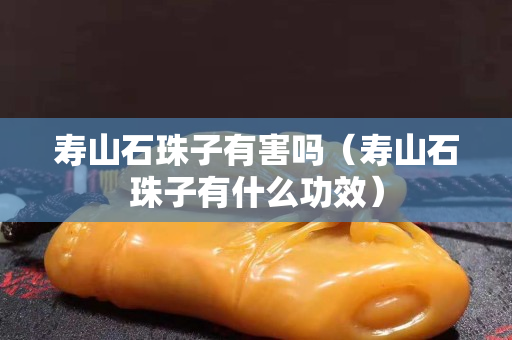 寿山石珠子有害吗（寿山石珠子有什么功效）