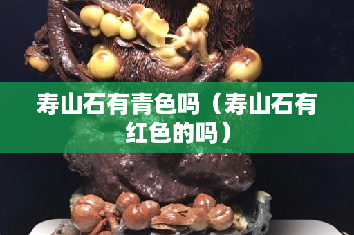 寿山石有青色吗（寿山石有红色的吗）