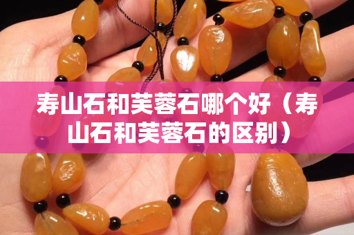 寿山石和芙蓉石哪个好（寿山石和芙蓉石的区别）