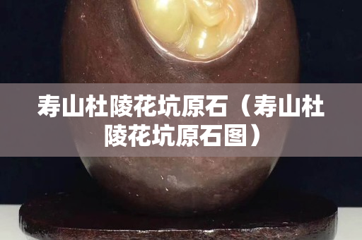 寿山杜陵花坑原石（寿山杜陵花坑原石图）