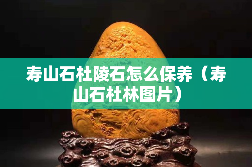 寿山石杜陵石怎么保养（寿山石杜林图片）