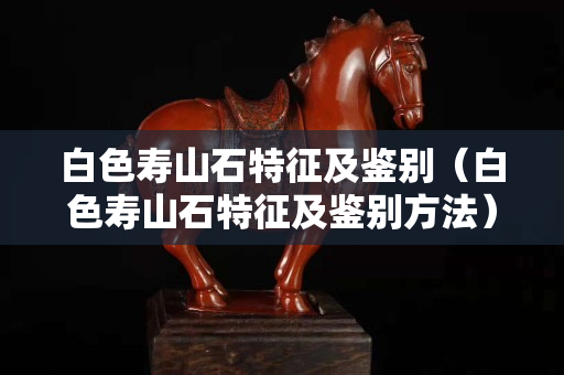 白色寿山石特征及鉴别（白色寿山石特征及鉴别方法）