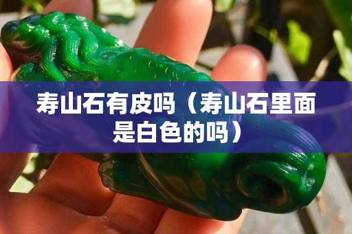 寿山石有皮吗（寿山石里面是白色的吗）