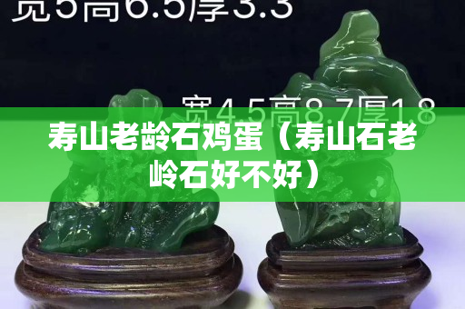寿山老龄石鸡蛋（寿山石老岭石好不好）