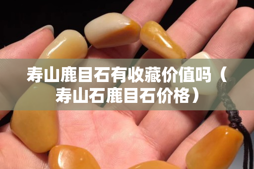 寿山鹿目石有收藏价值吗（寿山石鹿目石价格）