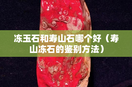 冻玉石和寿山石哪个好（寿山冻石的鉴别方法）