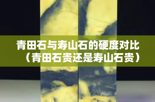 青田石与寿山石的硬度对比（青田石贵还是寿山石贵）