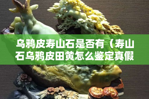 乌鸦皮寿山石是否有（寿山石乌鸦皮田黄怎么鉴定真假）