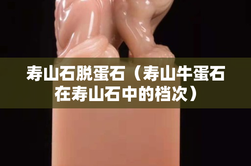 寿山石脱蛋石（寿山牛蛋石在寿山石中的档次）