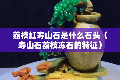 荔枝红寿山石是什么石头（寿山石荔枝冻石的特征）