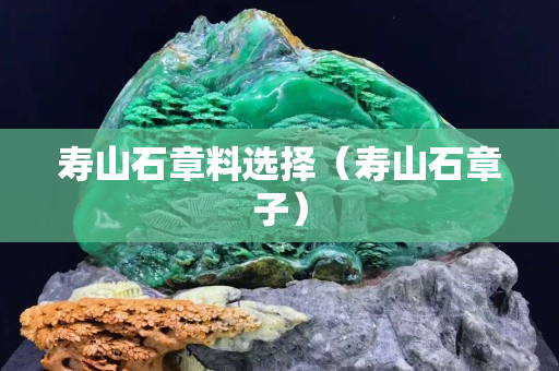 寿山石章料选择（寿山石章子）