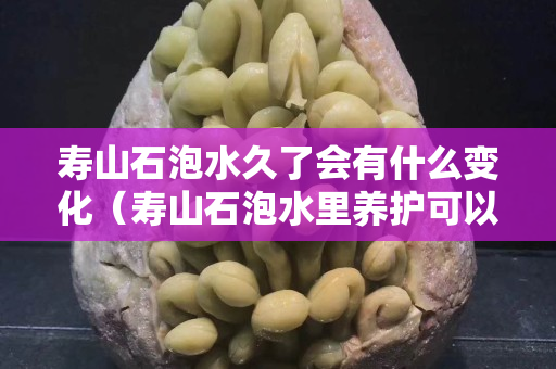 寿山石泡水久了会有什么变化（寿山石泡水里养护可以吗）