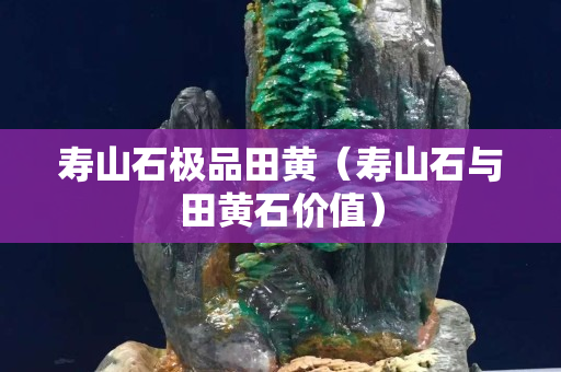 寿山石极品田黄（寿山石与田黄石价值）