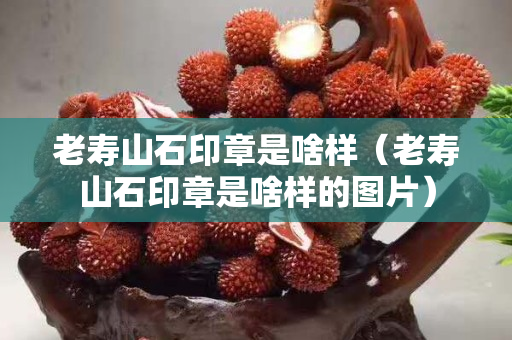 老寿山石印章是啥样（老寿山石印章是啥样的图片）