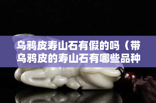 乌鸦皮寿山石有假的吗（带乌鸦皮的寿山石有哪些品种）