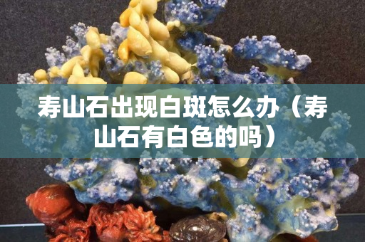 寿山石出现白斑怎么办（寿山石有白色的吗）