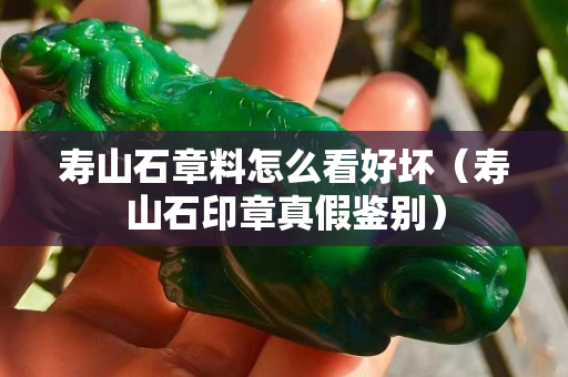 寿山石章料怎么看好坏（寿山石印章真假鉴别）