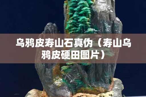 乌鸦皮寿山石真伪（寿山乌鸦皮硬田图片）