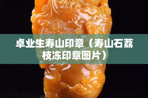 卓业生寿山印章（寿山石荔枝冻印章图片）