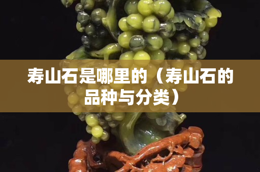 寿山石是哪里的（寿山石的品种与分类）