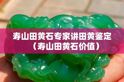 寿山田黄石专家讲田黄鉴定（寿山田黄石价值）