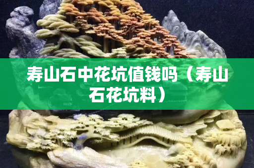 寿山石中花坑值钱吗（寿山石花坑料）