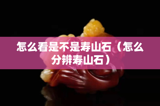 怎么看是不是寿山石（怎么分辨寿山石）
