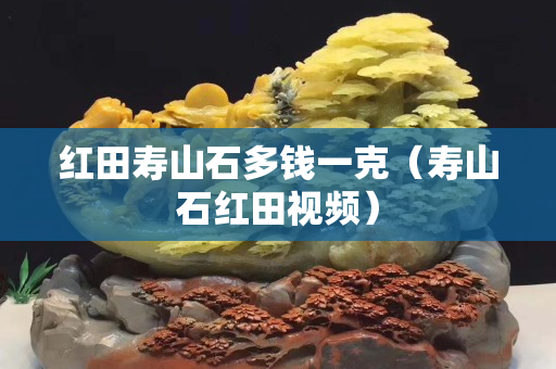 红田寿山石多钱一克（寿山石红田视频）